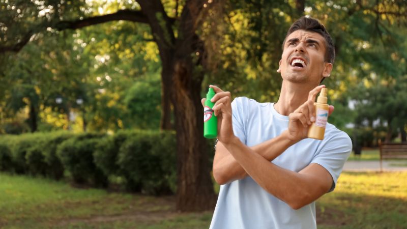 spraying your yard for mosquitoes can work